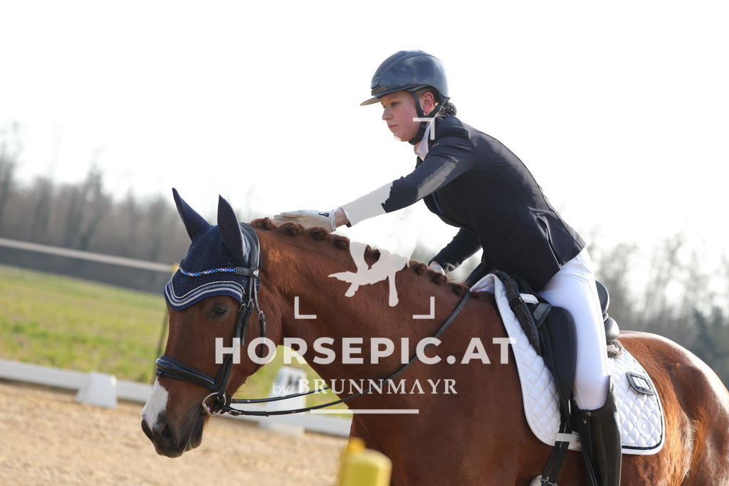 0P6A5964 | Willkommen bei Brunnmayr - Design & Fotografie – Ihrem Spezialisten für Reitturniere und Pferdeveranstaltungen in Oberösterreich, Salzburg und Bayern! Seit über 17 Jahren sind wir leidenschaftlich dabei.