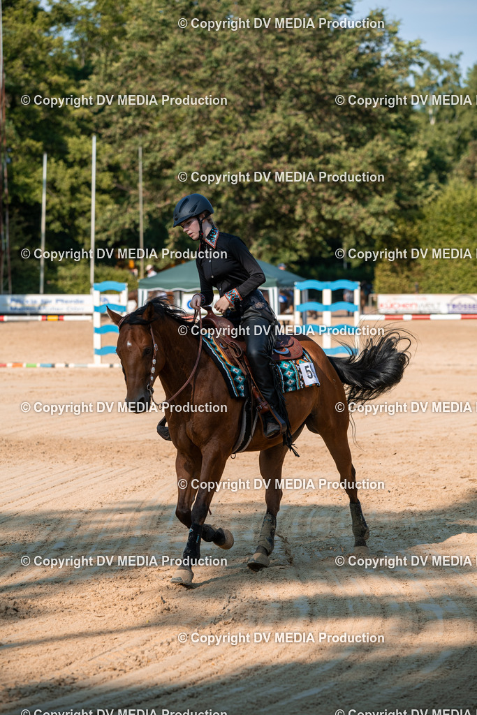 ZS2_8885 | dv-media-shop - Realisiert mit Pictrs.com