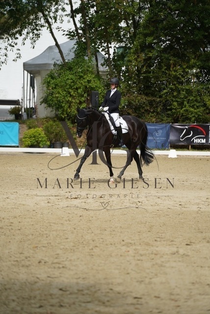 VAN01274 | Marie Giesen Fotografie - Realisiert mit Pictrs.com