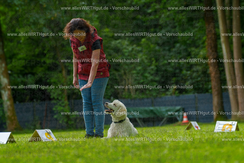 @allesWIRTHgut_Tierfotografie - www.allesWIRTHgut.de - 7R505223 | Professionelle Tierfotografie in Mönchengladbach von Daniel Wirth (allesWIRTHgut). Liebevolle & natürliche Bilder von Hunden & Katzen für unvergessliche Erinnerungen.