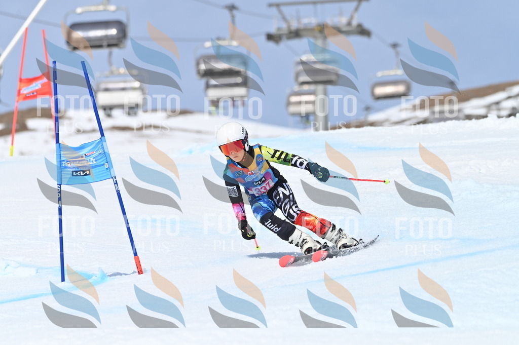 BGV_3398 | holidayphoto