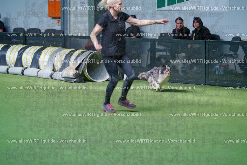 @allesWIRTHgut_Tierfotografie - www.allesWIRTHgut.de - 2604261458-7R504196 | Professionelle Tierfotografie in Mönchengladbach von Daniel Wirth (allesWIRTHgut). Liebevolle & natürliche Bilder von Hunden & Katzen für unvergessliche Erinnerungen.