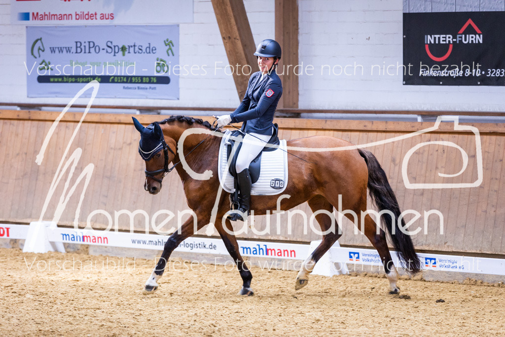 Sth-A-Dre-2St-234 | MomenTaufnahmen Pferdesportfotos