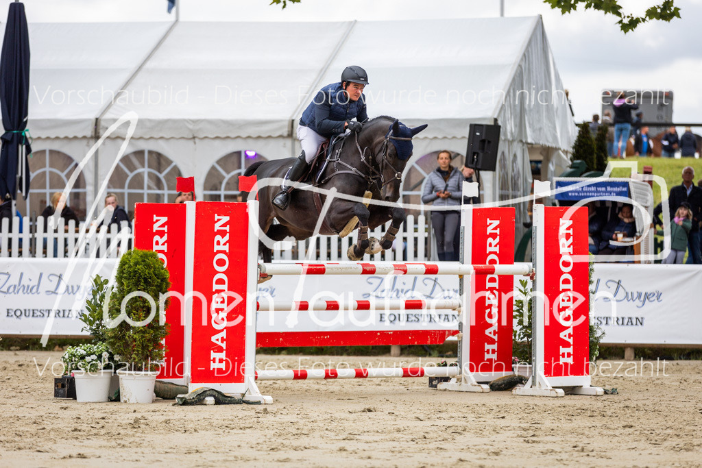 BHO-2PhSpr-M-5-2332 | MomenTaufnahmen Pferdesportfotos