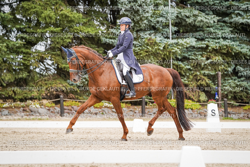 DSC05869 | Pferdegrafie