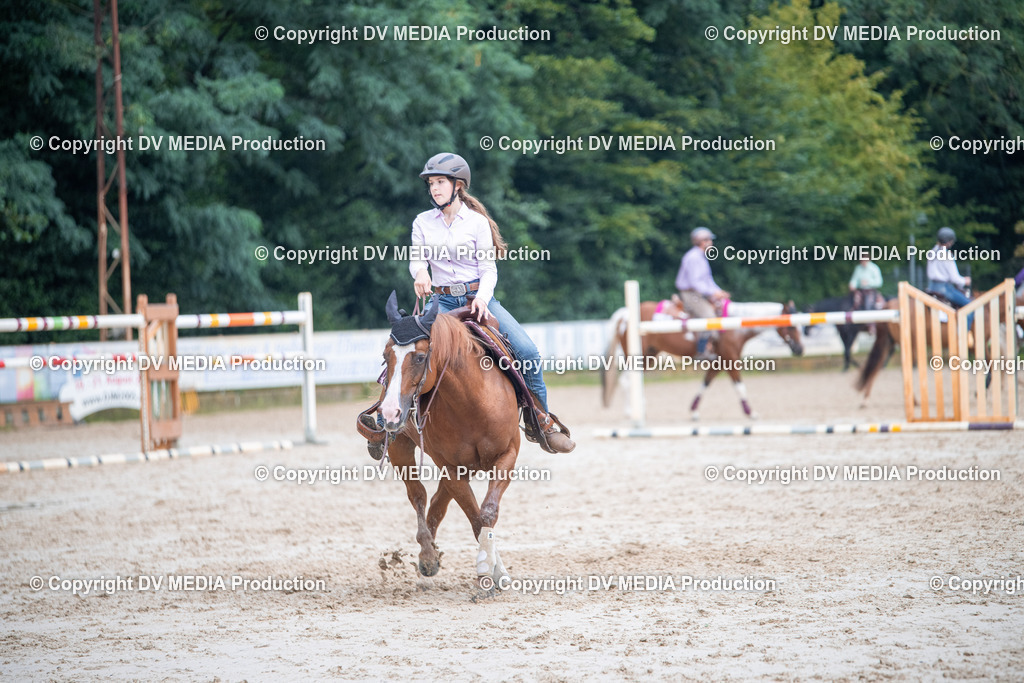 ZS2_4142 | dv-media-shop - Realisiert mit Pictrs.com