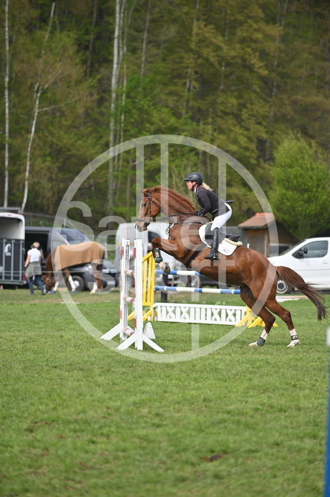 DSC_3764 | sattelsport - Realisiert mit Pictrs.com