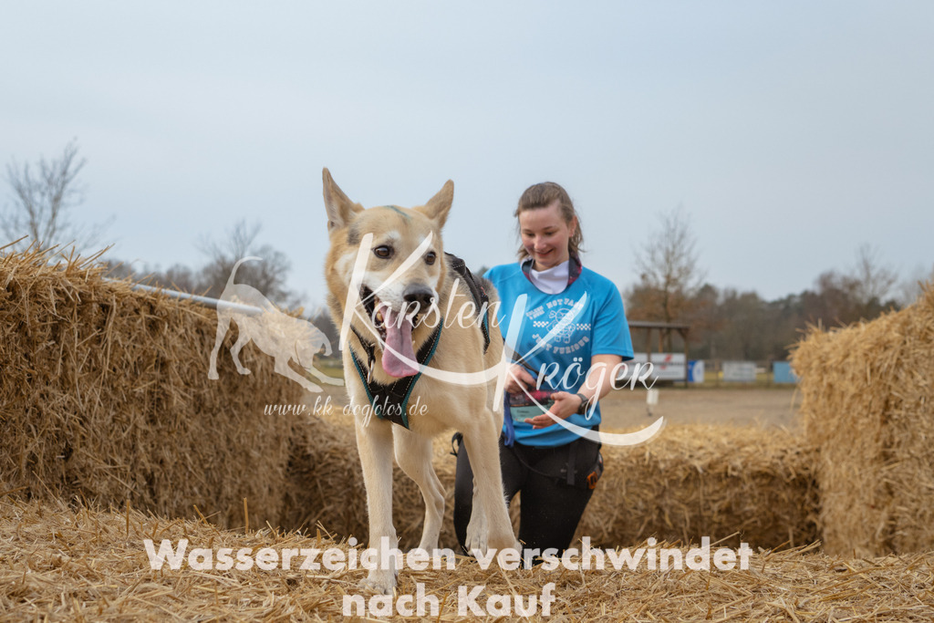 0921_ZZ98073 | kk-dogfotos