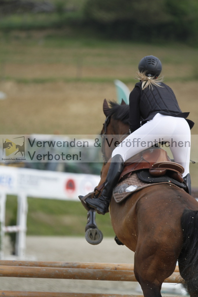 _MG_0666 | equestrian-live-com