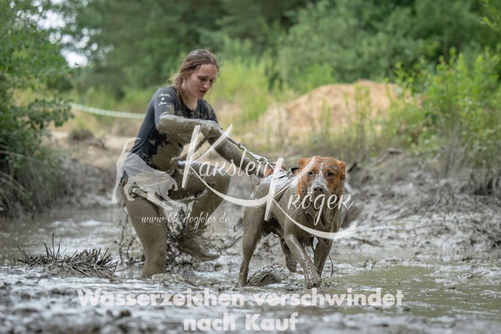 1550_ZZ91498 | kk-dogfotos