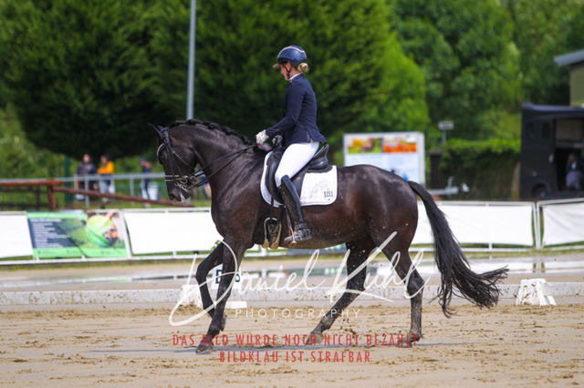 DKP40594 | Turniersportfotografie; Pferdefotografie; Dressurfotografie