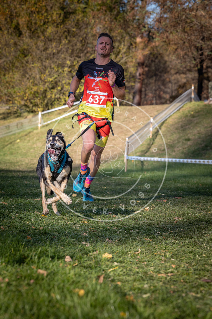 CaniXpix_0L8A8944 | Hundefotografie, Tierfotograf, Pfotenfotografie, Fotoshooting Hund, Hunde Portrait, Hundesport, Hundeportraits, Heideshooting, Hunde, Sportfotograf, Hundefotograf, Turnierhundsport, THS,  - Realisiert mit Pictrs.com
