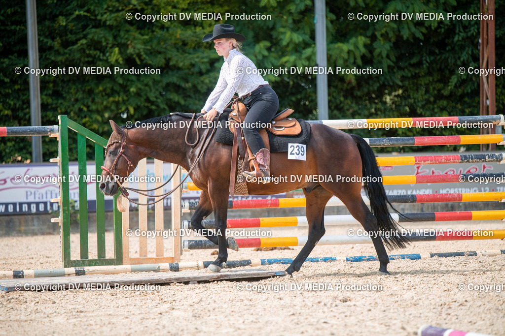 EWP_6824 | dv-media-shop - Realisiert mit Pictrs.com