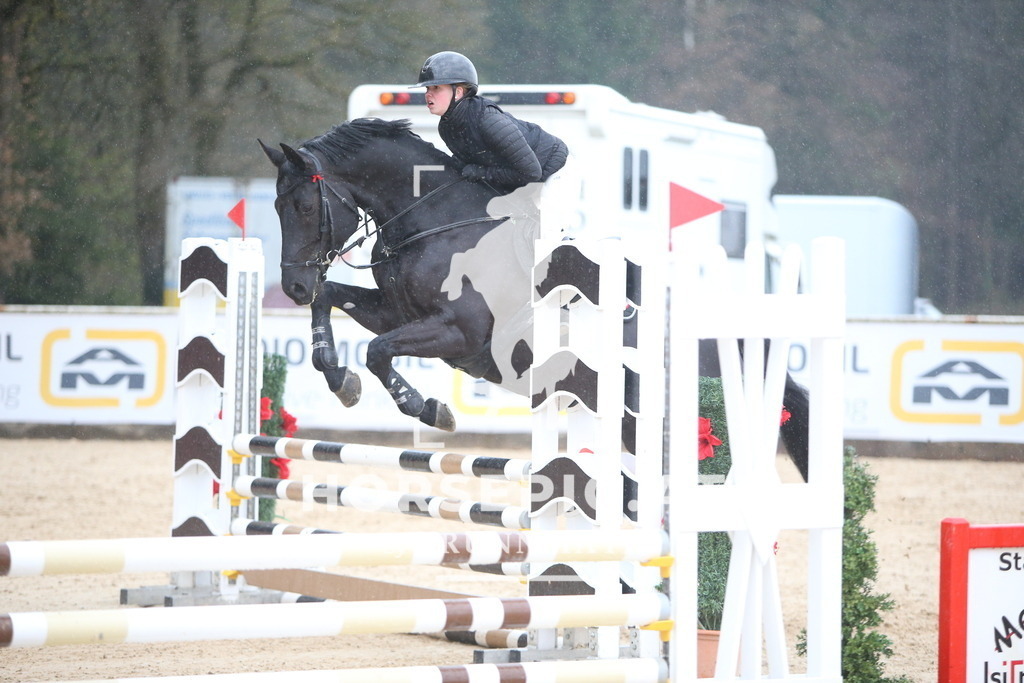 AS8V1835 | Willkommen bei Brunnmayr - Design & Fotografie – Ihrem Spezialisten für Reitturniere und Pferdeveranstaltungen in Oberösterreich, Salzburg und Bayern! Seit über 17 Jahren sind wir leidenschaftlich dabei.