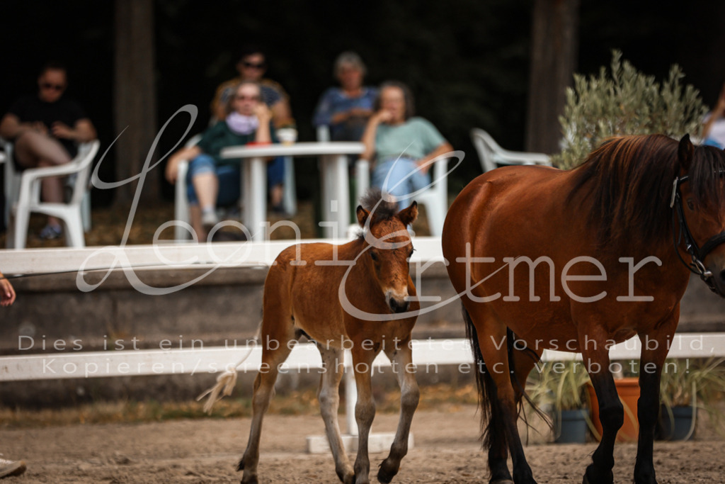 02.DoSR00112 | Leoni Ertmer Photography - Realisiert mit Pictrs.com