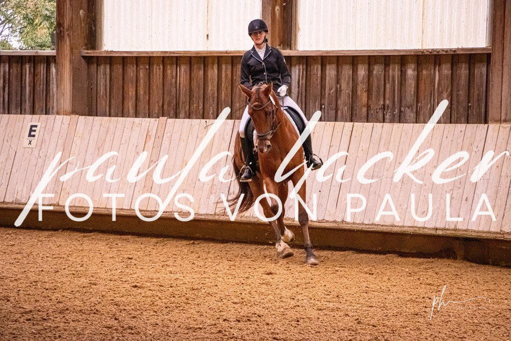 IMG_9494 | Erleben Sie dynamische Sport- und emotionale Tierfotografie in Süddeutschland mit Fotos von Paula. Spezialisiert auf Pferde- und Hundefotografie sowie Sportevents. Kontaktieren Sie mich für einzigartige und ausdrucksstarke Bilder Ihrer besonderen Momente. - Realisiert mit Pictrs.com