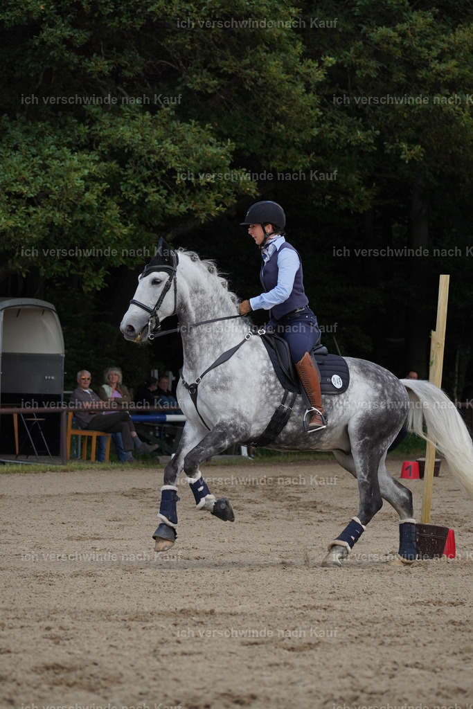 KlasseS_Lucie (182) | working equitationturnier fotograf videograf stoibphotography marixx film working equitation deutschland reitsport turnierfotografie eventfotografie equestrian events