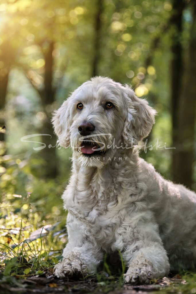 Paula_23-08-142023_08_14_DSCF1391 | People- und Tierfotografie, Imageaufnahmen, Veranstaltungsfotografie und Wandbilder aus der Natur ★ Made in Germany ✔️ Druck + Downloads ✔️ Naturfotografie in Top Qualität ★ schneller Versand, weltweite Lieferung! - Realisiert mit Pictrs.com