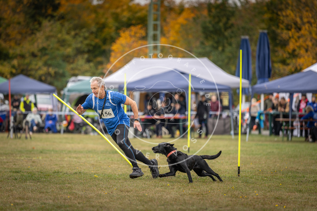 Pfotenfotografie_DV3A5689 | Hundefotografie, Tierfotograf, Pfotenfotografie, Fotoshooting Hund, Hunde Portrait, Hundesport, Hundeportraits, Heideshooting, Hunde, Sportfotograf, Hundefotograf, Turnierhundsport, THS,  - Realisiert mit Pictrs.com