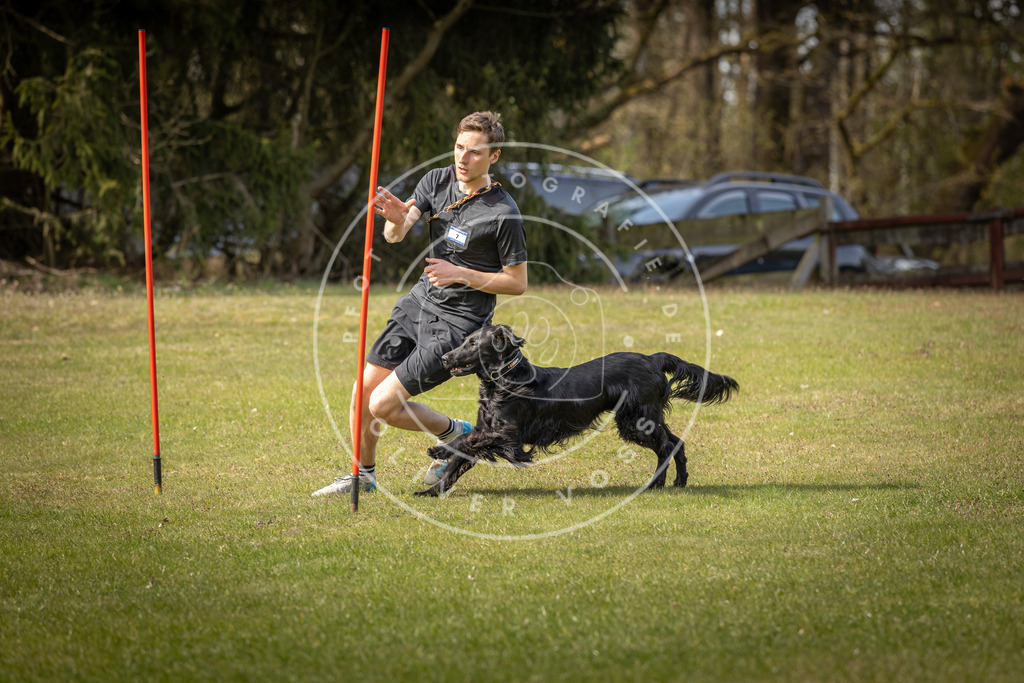 Pfotenfotografie_DV3A9748 | Hundefotografie, Tierfotograf, Pfotenfotografie, Fotoshooting Hund, Hunde Portrait, Hundesport, Hundeportraits, Heideshooting, Hunde, Sportfotograf, Hundefotograf, Turnierhundsport, THS,  - Realisiert mit Pictrs.com