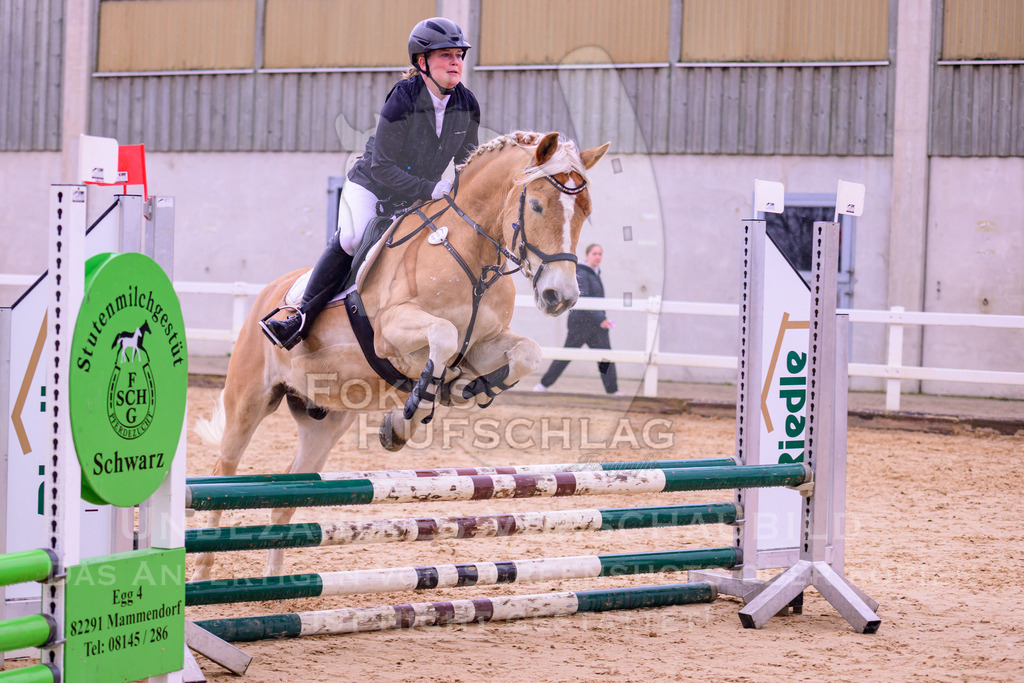 12042026-Mammendorf-Prfg35-0159 | Fokus Hufschlag Fotografie - Realisiert mit Pictrs.com