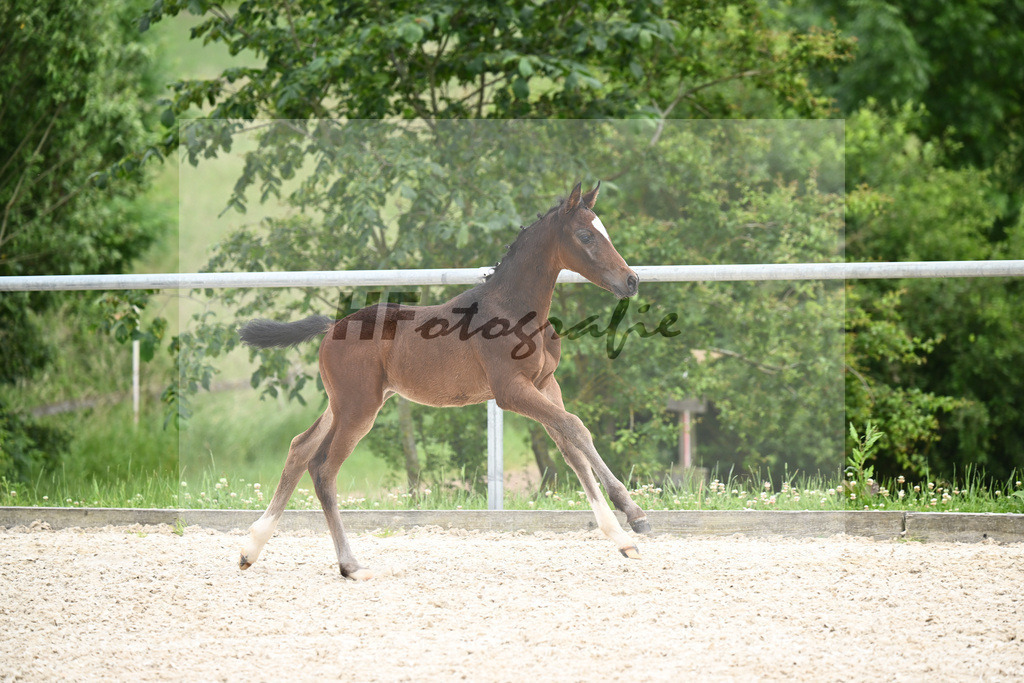 Chezarro x Chromico_HF_Berr_20241055 | hf-fotografie - Realisiert mit Pictrs.com