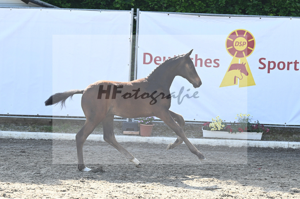 Kat-Nr. 2 HF Escaneno_Ruetz_12230110 | hf-fotografie - Realizzato con Pictrs.com