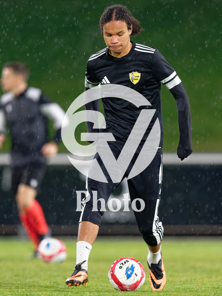 dieci Challenge League - FC Stade Nyonnais v Neuchatel Xamax FCS |  during the dieci Challenge League match between FC Stade Nyonnais and Neuchatel Xamax FCS at Centre sportif de Colovray in Nyon, Switzerland