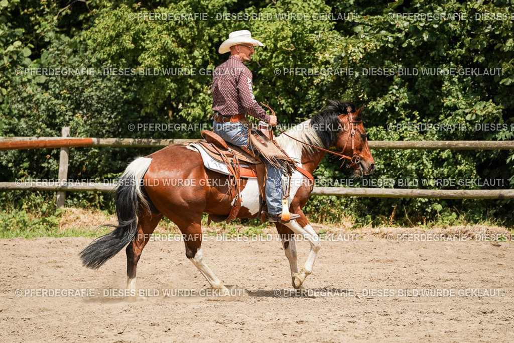 DSC09781 | Pferdegrafie