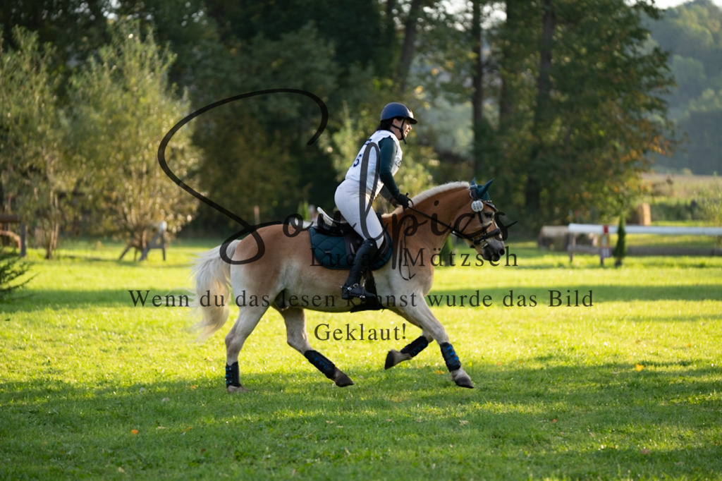 A7V02852 | Pferdefotograf