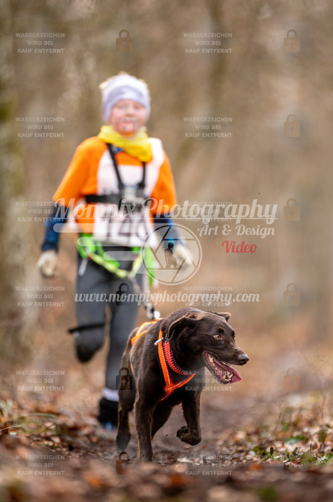 Reiat2023_SON_CaniXRun_5km_M-36 | mompixphotography