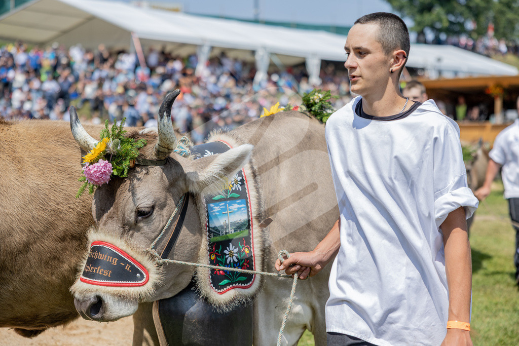 Rigi2026_5G_00018 | Die Schwinger des Schwyzer Kantonalen Schwingerverbandes: Fotos, die Dynamik und Leidenschaft festhalten, sowie emotionale Momente aus dem traditionellen Schwingsport zeigen. - Realisiert mit Pictrs.com