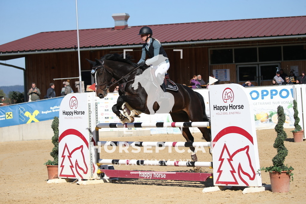 DL2Q2815 | Willkommen bei Brunnmayr - Design & Fotografie – Ihrem Spezialisten für Reitturniere und Pferdeveranstaltungen in Oberösterreich, Salzburg und Bayern! Seit über 17 Jahren sind wir leidenschaftlich dabei.