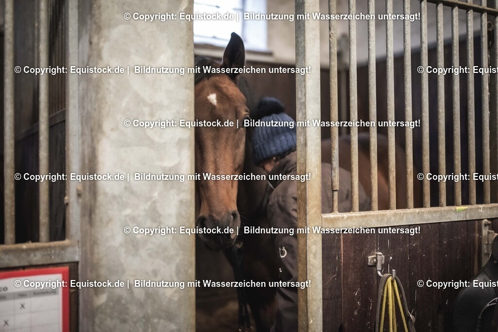 20241013_Jagd-Marbach_0026 | Foto: Thomas Hartig