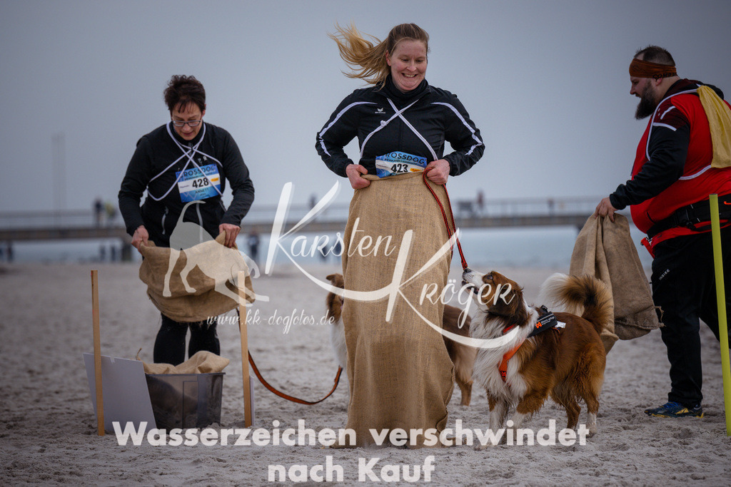 1201_ZZ91691 | kk-dogfotos