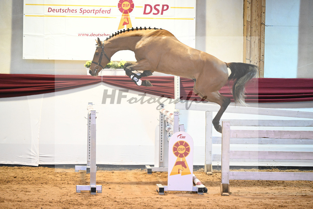 Kat-Nr. 53 v. Vingino_Bachl_66221192 | hf-fotografie - Realisiert mit Pictrs.com