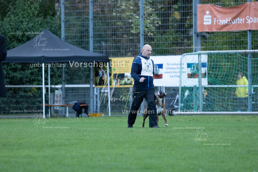 _16A4399 | Einzigartige Fotos von Hunden & Menschen –Actionfotos, Portraits, Vereinsaufnahmen & Paarshootings – authentisch, lebendig & mit Herz.