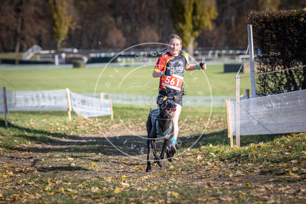 CaniXpix_DV3A8692 | Hundefotografie, Tierfotograf, Pfotenfotografie, Fotoshooting Hund, Hunde Portrait, Hundesport, Hundeportraits, Heideshooting, Hunde, Sportfotograf, Hundefotograf, Turnierhundsport, THS,  - Realisiert mit Pictrs.com