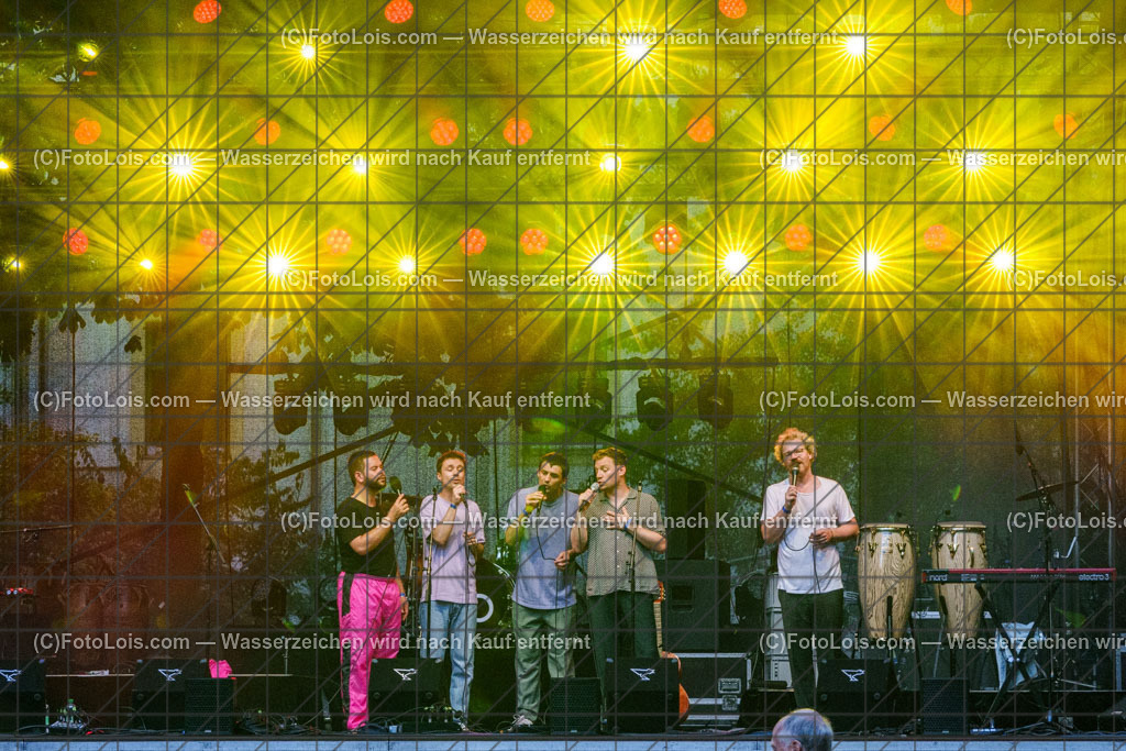 ALP9030_Hiesige-Dosige_Kulturpark | Festival HIESIGE 6 DOSIGE am 8. August 2025