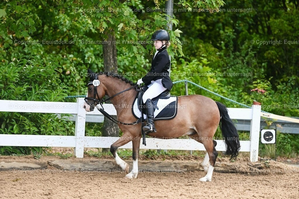 20230716_10-2_Reiter-WB Schritt - Trab - Galopp_0148 | equistock