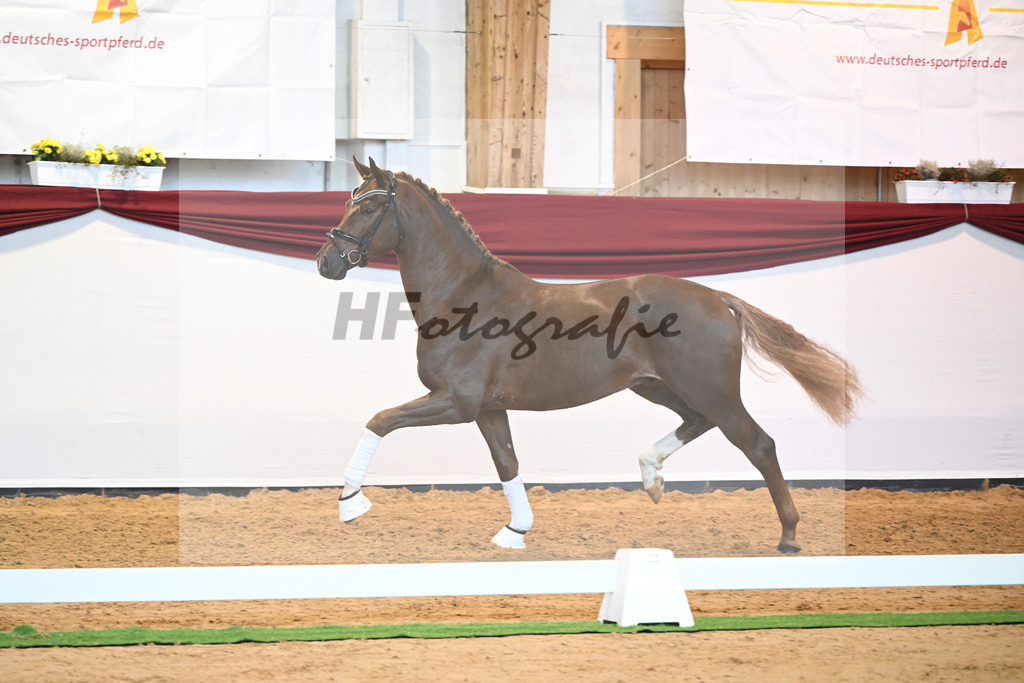 Kat-Nr. 74 v. Le Formidable_Maier_66220336 | hf-fotografie - Realisiert mit Pictrs.com