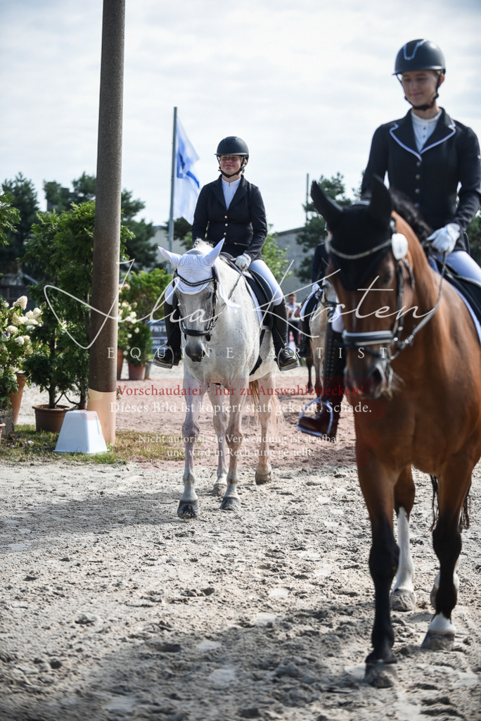 DSC_8728 | Pferde- und Turnierfotografie in Westsachsen. Pferdeportraits, Auftragszeichnungen und intuitive Kunst.