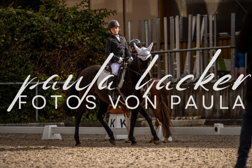 IMG_3769 | Erleben Sie dynamische Sport- und emotionale Tierfotografie in Süddeutschland mit Fotos von Paula. Spezialisiert auf Pferde- und Hundefotografie sowie Sportevents. Kontaktieren Sie mich für einzigartige und ausdrucksstarke Bilder Ihrer besonderen Momente. - Realisiert mit Pictrs.com