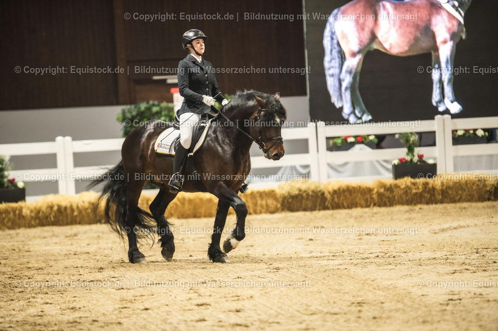 20240302_Hengstvorstellung_Marbach_TOMsPiC_0279 | equistock