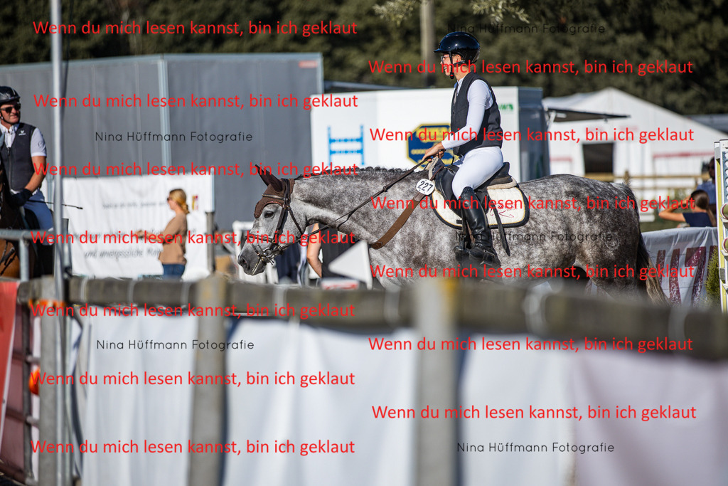 BK1A7542 | Turnierbilder Turnierfotos Nina Hüffmann Turnierfotografie Pferdefotografie Tierzeichnung Haustierzeichnung Pferdezeichnung Hundezeichnung Videograf  - Realisiert mit Pictrs.com