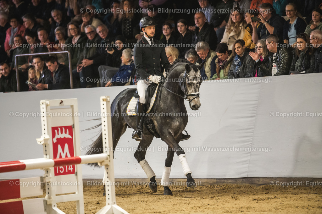 20240302_Hengstvorstellung_Marbach_TOMsPiC_0177-2 | equistock