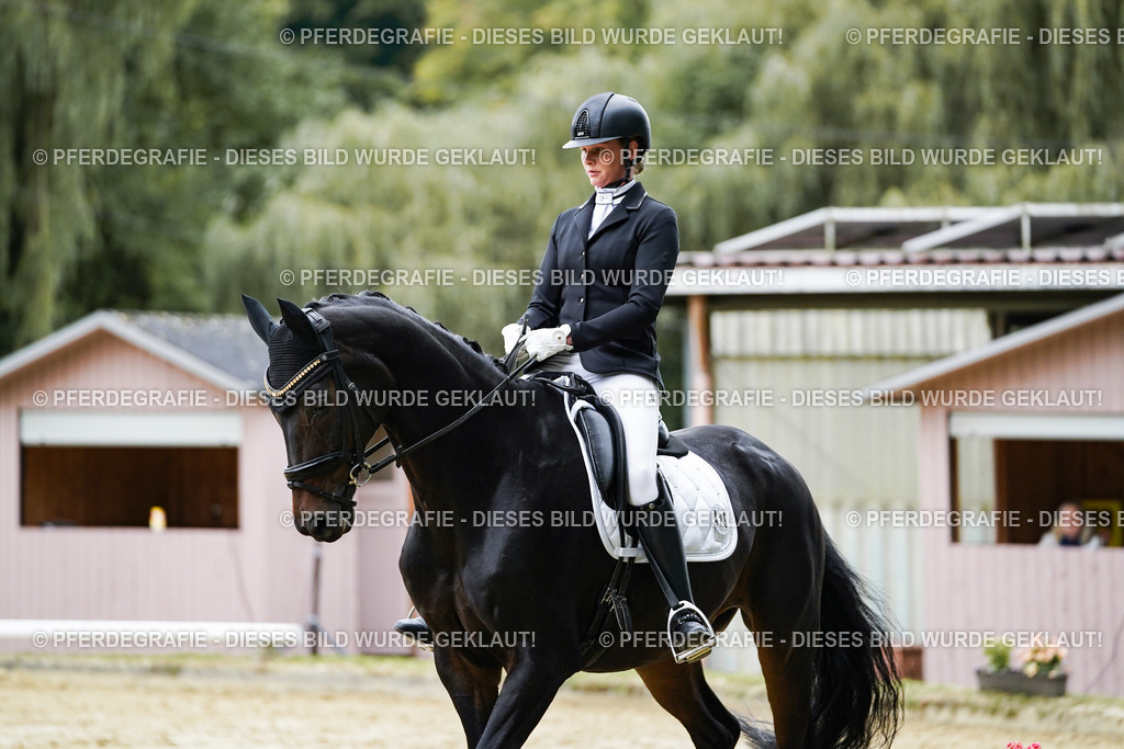 DSC07120 | Pferdegrafie