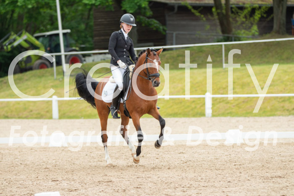 IMG_9921 | Creatify Fotografie