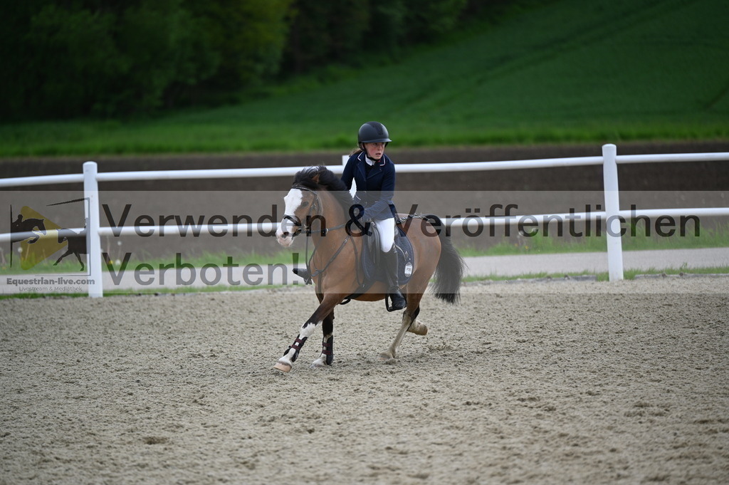 DSC_0354 | equestrian-live-com