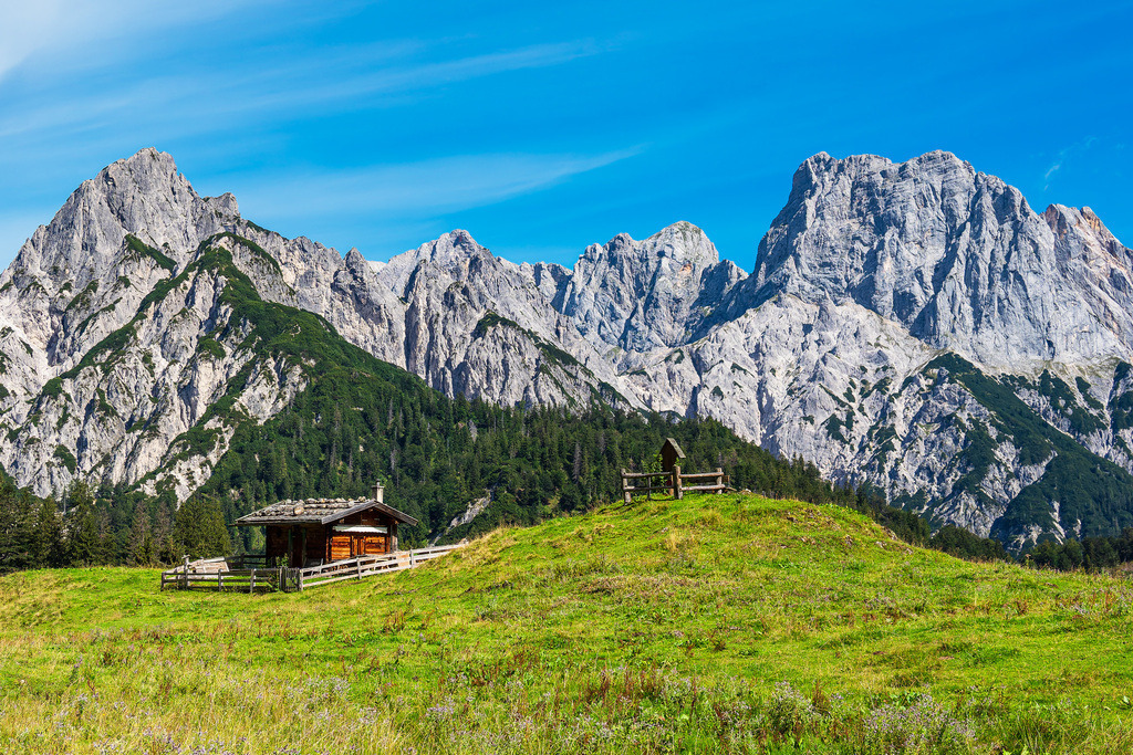 Blick auf die Litzlalm mit Hütte in den Alpen in Österreich | Blick auf die Litzlalm mit Hütte in den Alpen in Österreich.